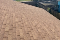 A close-up view of new shingles on a roof in Tampa.