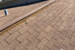 owens-corning-shingles-on-florida-home-roof